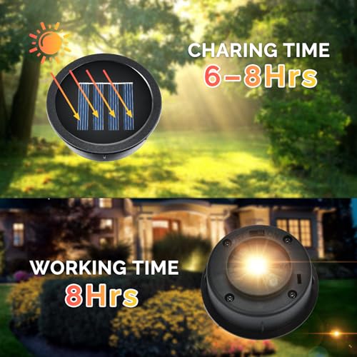 Solar Light Replacement Top 4 Pack (4 Count)