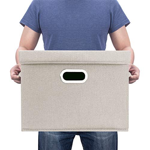 Collapsible Storage Bins With Lids (2 Count)
