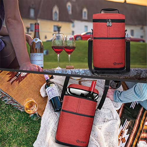 2 Bottle Wine Carrier Tote