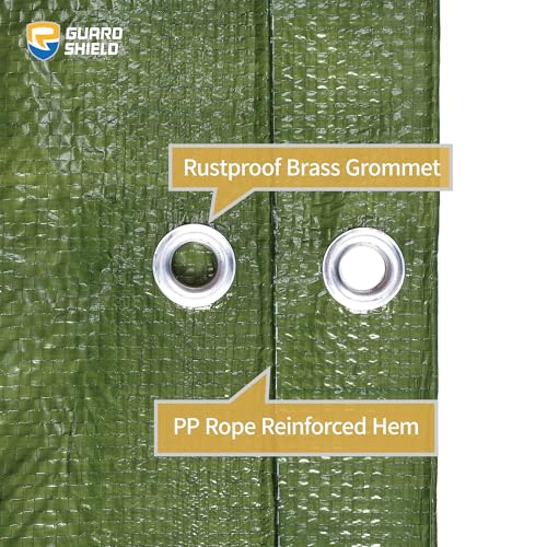 Tarp Green 10x10 Feet Multi Purpose Waterproof Poly Tarp Cover 5mil (100 Sq Ft)