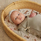Stretch Fitted Bassinet Sheet Set BROLEX 2 Pack Cradle Sheets for Bassinet Pad