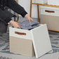 Fabric Storage Bins with Lids 13 Inch Storage Cubes with Lid (2 Count)