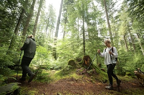 Trekking Poles (2 Count)