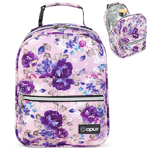Insulated Lunch Box for Kids and Adults