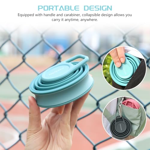 Collapsible Water Bottle