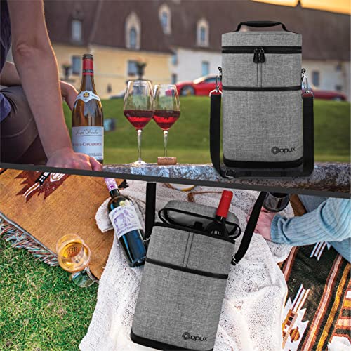 2 Bottle Wine Carrier Tote