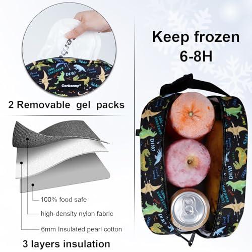 Small Cooler Bag