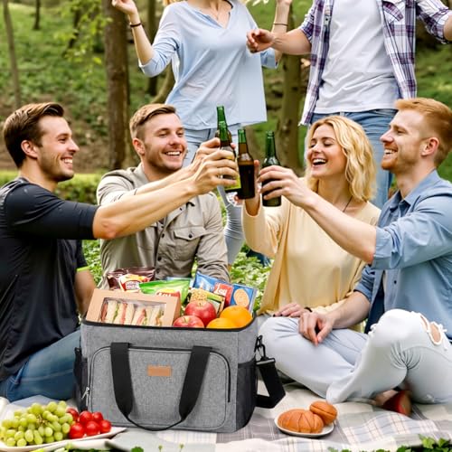 Medium Lunch Bag Insulated Lunch Box Soft Cooler Cooling Tote for Adult Men Women (Gray / Mega (33L))