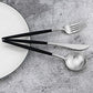 20-Piece 18/10 Stainless Steel Flatware Silverware, Luxury Dinnerware Set Travel Cutlery Tableware Include Knife Fork Spoon Service for 4, Dishwasher Safe (Black Handle Matte Silver) (4 Count)