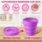 24 Pcs Silicone Collapsible Travel Cup (24 Count)