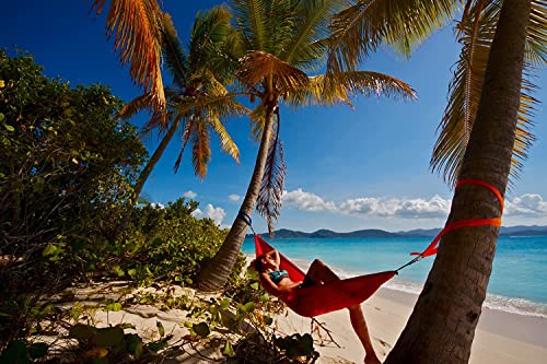 SingleNest Hammock