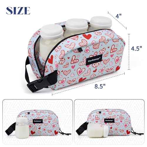 Small Cooler Bag