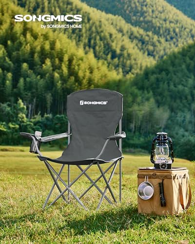 Set of 2 Folding Camping Chairs (2 Count)