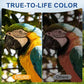 20x52 High Powered Binoculars for Adults