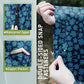 Adult Rain Poncho Waterproof Hooded Zipper Raincoat with Pockets