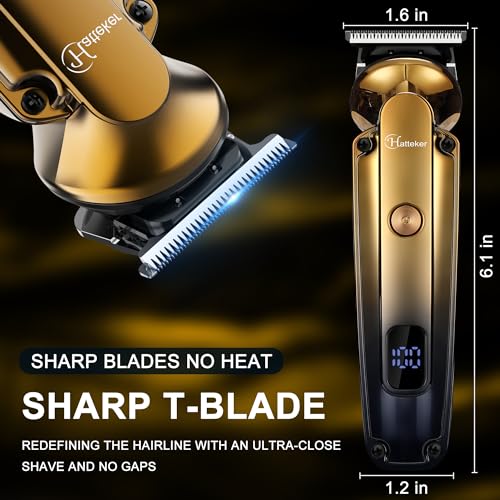 Men's Beard Trimmer Kit Electric Razor Shaver Professional Hair Clipper with Zero Gapped T