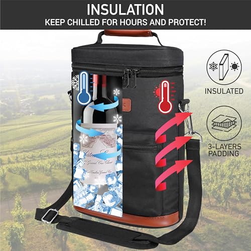 Insulated 2 Bottle Wine Bag Tote Leakproof Carrier Cooler Gift
