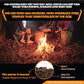 Start Fires Fast with Zero Effort! The Most Powerful Fire Starter You Will Ever Use. Plant (6 Fire Starter)