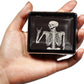 Silver Vintage Pill Box 7 Day Metal Pill Box with Mirror and 8 Compartments Cute Travel Pill Organizer for Purse (Rock and Roll Skull Skeleton)