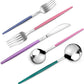 Mirror Silver multicolor Silverware Set, 20-Piece Stainless Steel Flatware Set, Satin Finish tableware Cutlery Set, Service for 4, Home and Restaurant, Dishwasher Safe