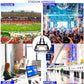 Clear Bag for Stadium Events With Shoulder Strap for Women