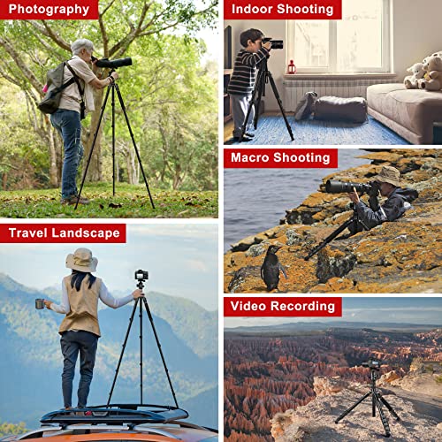 Tripod for Camera