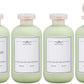 ASEVAT 10oz 4Pcs Green Plastic Refillable Travel Shampoo and Conditioner Bottles Plastic Refillable Travel Shampoo Bottles with Flip Cap Shampoo and Conditioner Dispenser