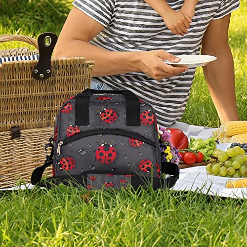 Funny Animal Ladybug Insulated Lunch Bag with Detachable Shoulder Strap Tote Bag for Women Men Adult Reusable Containers Organizer Thermal Cooler Bag for School Work Travel Lunch Box (B:Funny Ladybug)