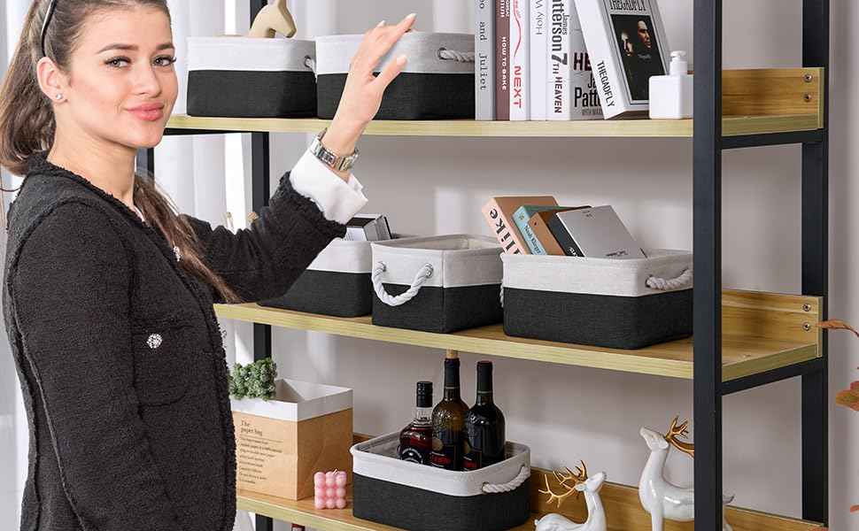 Storage Bins for Shelves