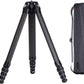 FALCAM TreeRoot Carbon Fiber Medium Tripod, 4-Section Legs, 50kg Vertical Load, 30mm Large Diameter, Quick Lock Tripod Only-T00A4901