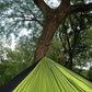 Camping Hammock