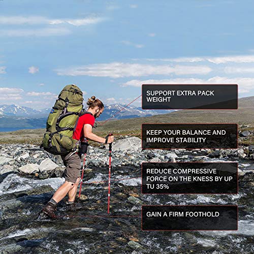 Lightweight Collapsible Trekking Poles Folding Hiking Sticks (2 Count)