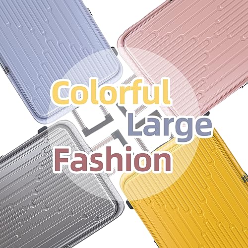 2 PCS 20 29 Luggage Sets