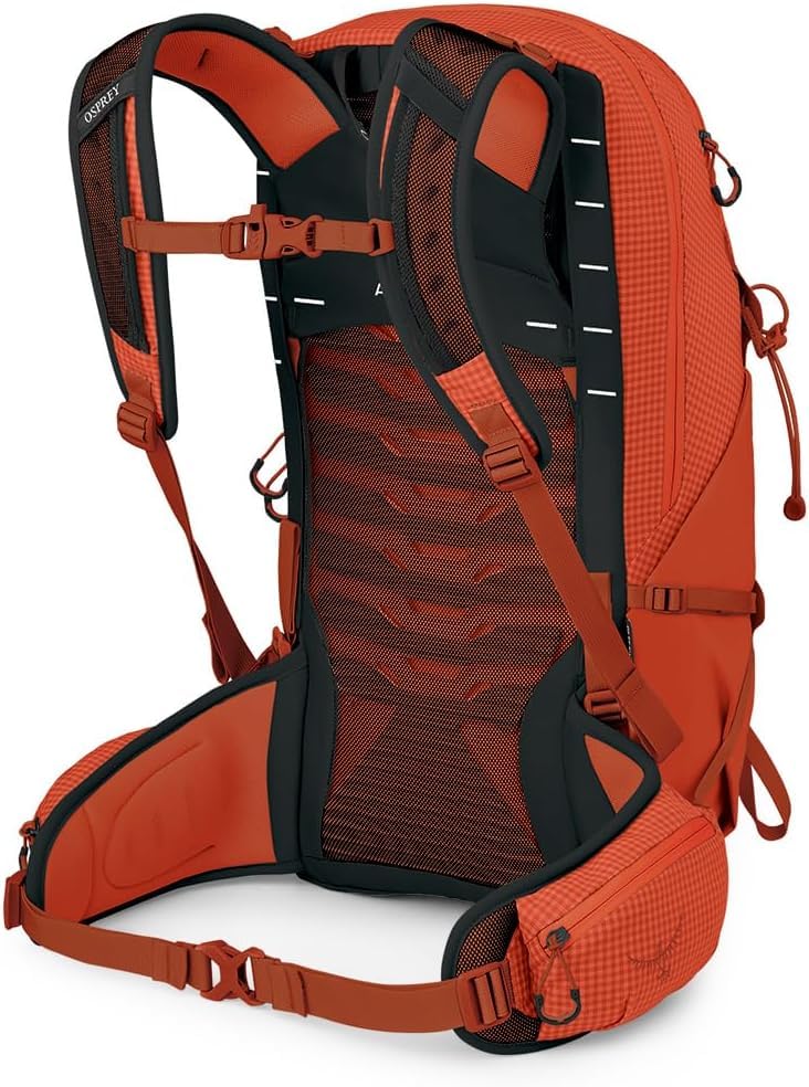 Talon Pro 20L Men's Hiking Backpack with Hipbelt