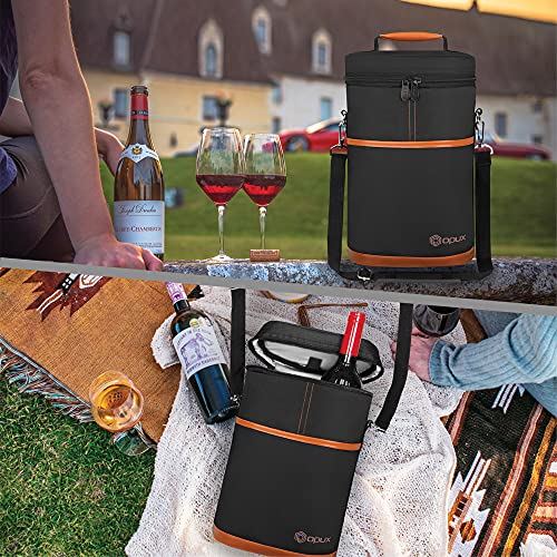 2 Bottle Wine Carrier Tote