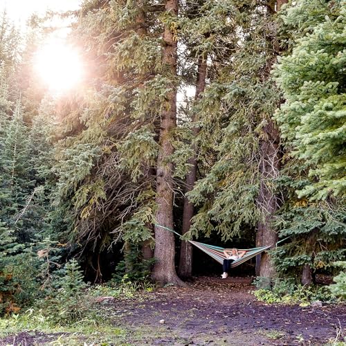 TrunkTech Double Hammock