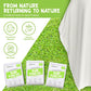 Disposable Rain Ponchos for Adults (5 Count)