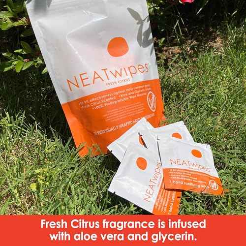 NEATwipes Sanitizing Wipes for Adults (96 Count)