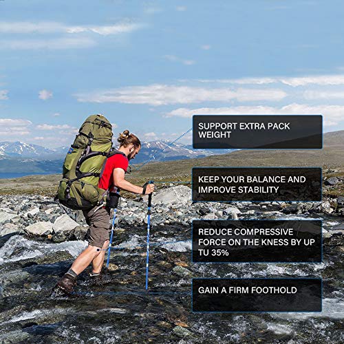 Lightweight Collapsible Trekking Poles Folding Hiking Sticks (2 Count)