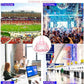 Clear Bag for Stadium Events With Shoulder Strap for Women