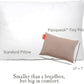 Pipsqueak Small | Tiny | Mini Pillow with Name Tag - 11in x 7in x 2.5in - Machine Washable - White Pillow with Khaki Case