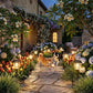 Solar Pathway Lights Outdoor (6 Count)