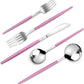 Mirror Silver Rosy Silverware Set, 20-Piece Stainless Steel Flatware Set, Satin Finish tableware Cutlery Set, Service for 4, Home and Restaurant, Dishwasher Safe