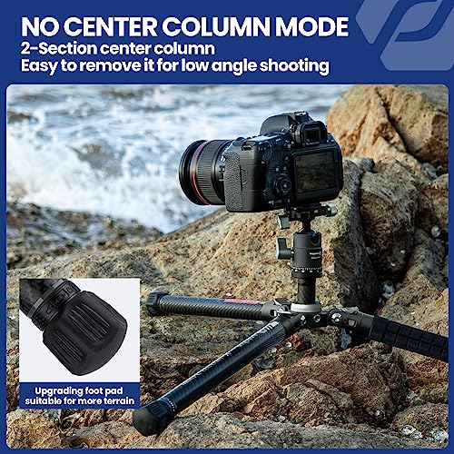 60" Camera Tripod