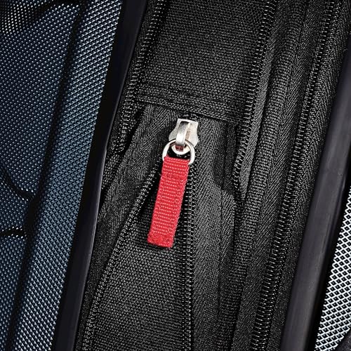 Omni Pc Hardside Expandable Luggage with Spinner Wheels