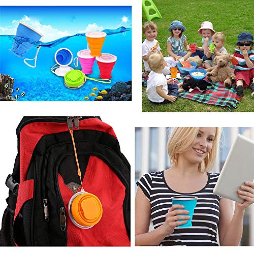 Silicone Collapsible Travel Water Cup