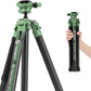 Fotopro Carbon Fiber Tripod 51 Inch 360 Degree Ball Head Quick Release Plate Lightweight Camera Tripod for Travel Tripod Folded Height Only 13.9",Max Loads up to 17.6lbs,Green