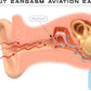 Eargasm Aviation Earplugs - Airplane Ear-Plugs for Ear Air Pressure Relief on Flights for Adults - High Altitude Air Travel Essential Earplugs for Men & Women for a Comfortable Trip