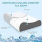 Memory Foam Pillows 2 Pack Neck Pillow - Neck Support Pillow for Pain Relief, Ergonomic Cervical Pillow for Sleeping, Orthopedic Contour Bed Pillow for Side, Back, Stomach Sleepers,Grey