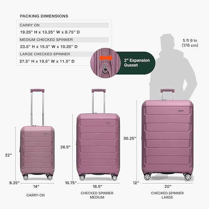 Traveler's Choice Pagosa Hardshell Expandable Luggage with Spinner Wheels, Mauve, 3-Piece Set (22/26/30)